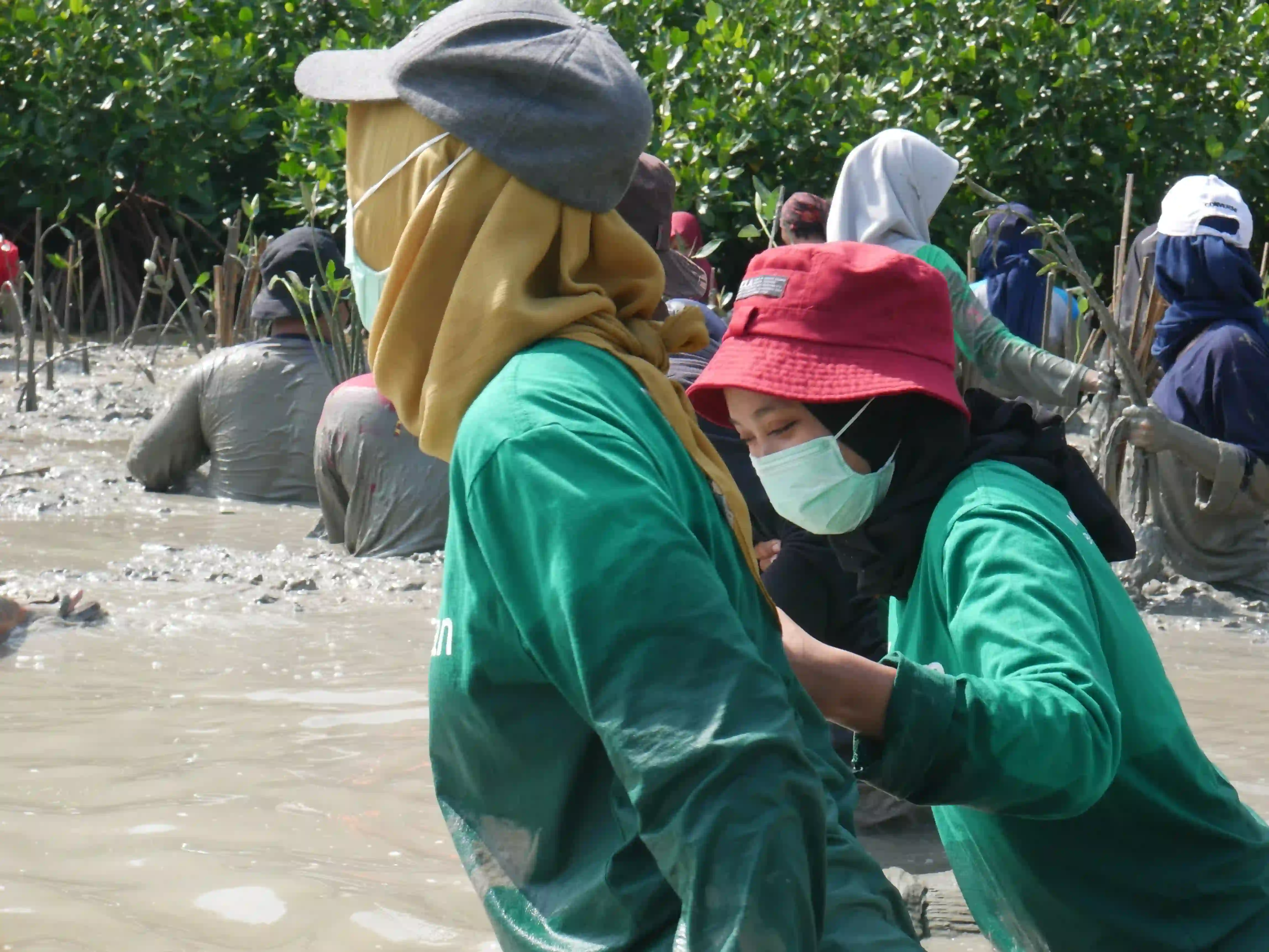 Sedekah Pohon LindungiHutan